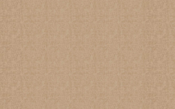 PLAIN DUCK 141314 BEIGE